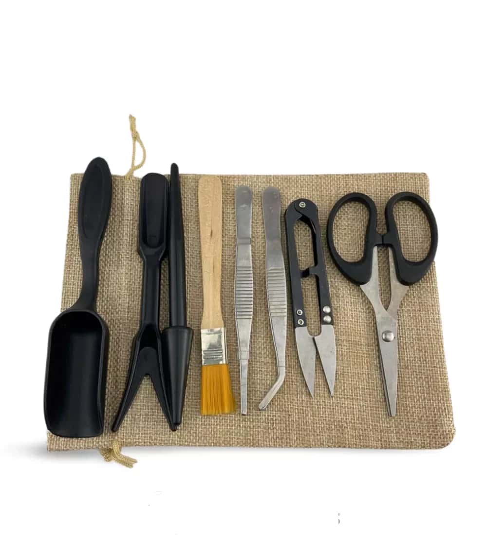 Transplantations- und Pflege-Toolkit