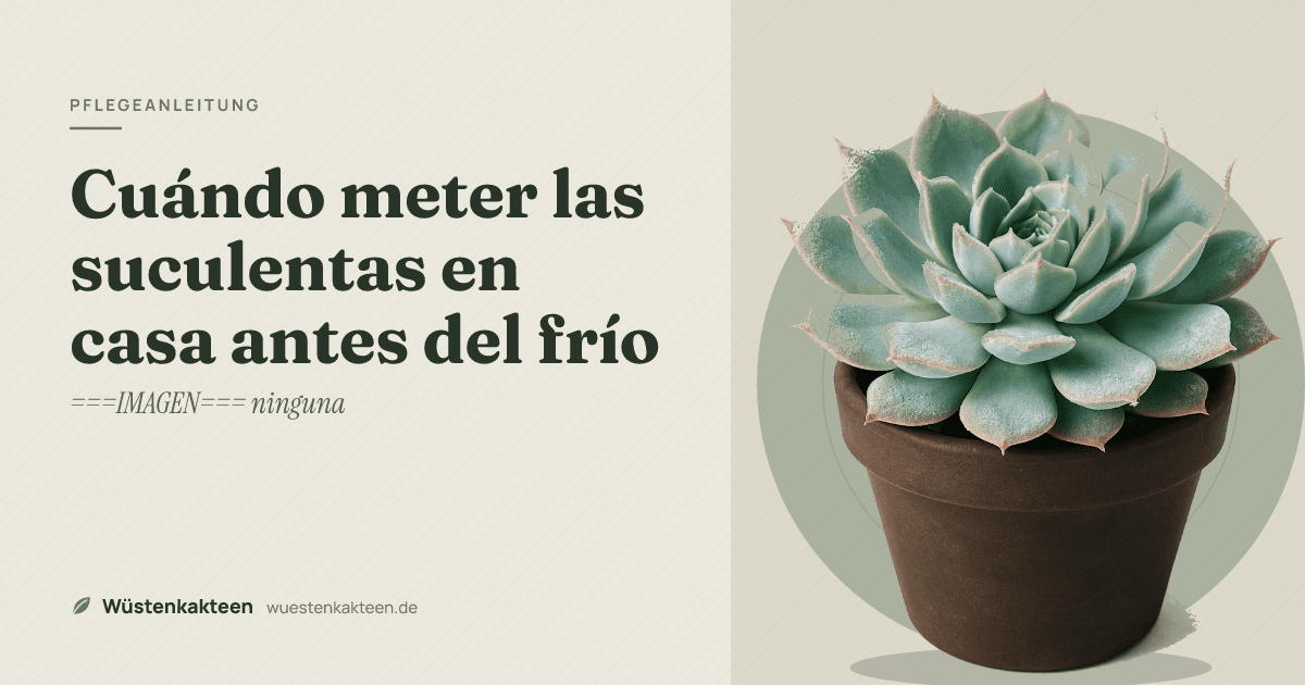 Cuándo meter las suculentas en casa antes del frío