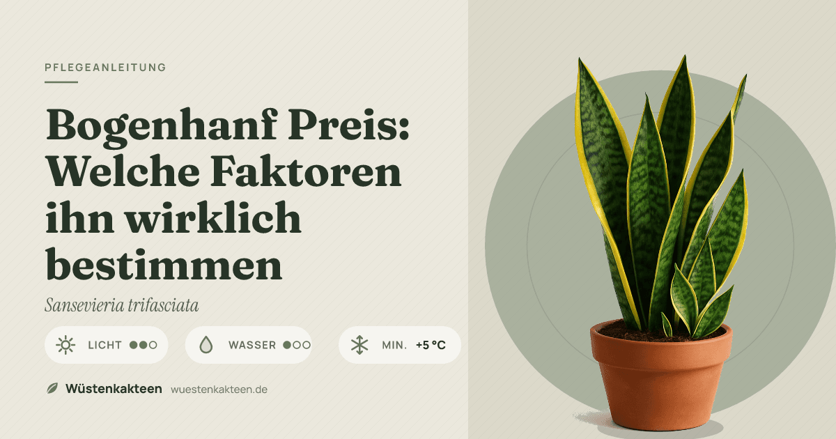 Bogenhanf Preis: Welche Faktoren ihn wirklich bestimmen
