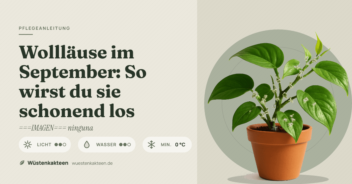 Wollläuse im September: So wirst du sie schonend los