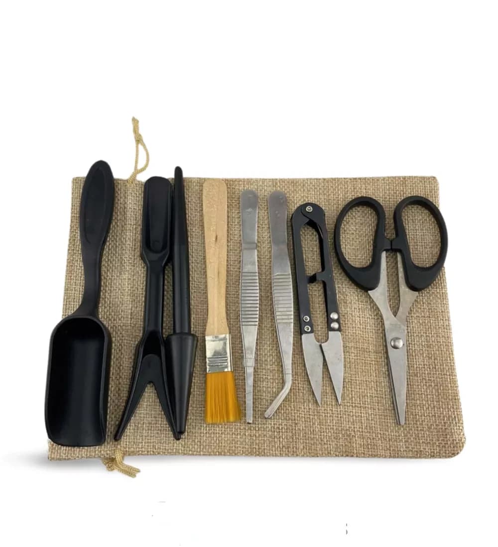 Transplantations- und Pflege-Toolkit
